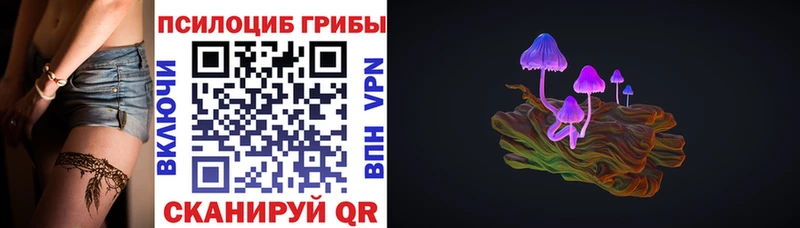 Галлюциногенные грибы мухоморы  Купить закладки  Высоцк 